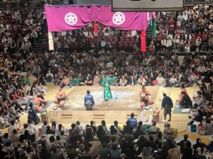 豊昇龍智勝